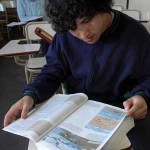 破茧成蝶进化的免费电话轰炸机